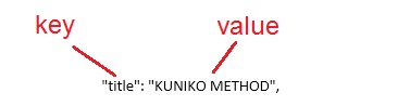 Định dạng dữ liệu trong kiểm thử API
