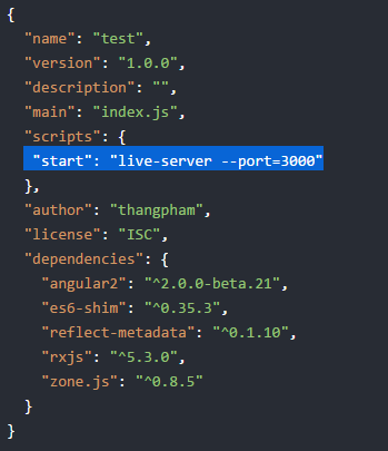 package-json-3
